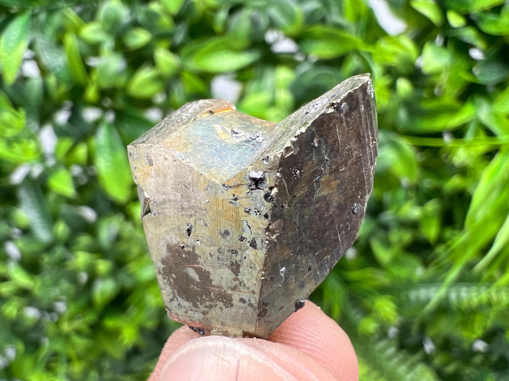 Rare Pyrite Crystal Cluster, Borieva Mine, Bulgaria