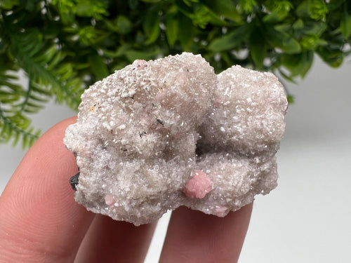 Beautiful Rhodochrosite on Quartz, pink minerals, Starnica Mine, Davidkovo, Bulgaria natural minerals, collection crystal, gift home decor, collec