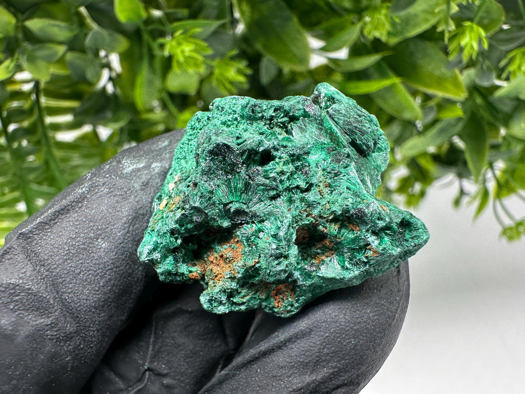 Malachite Crystal from Congo,Minerals,Crystals from Congo,Green Malachite, Malachite,Natural Malachite,Malachite Stone,Chakra, Specimens