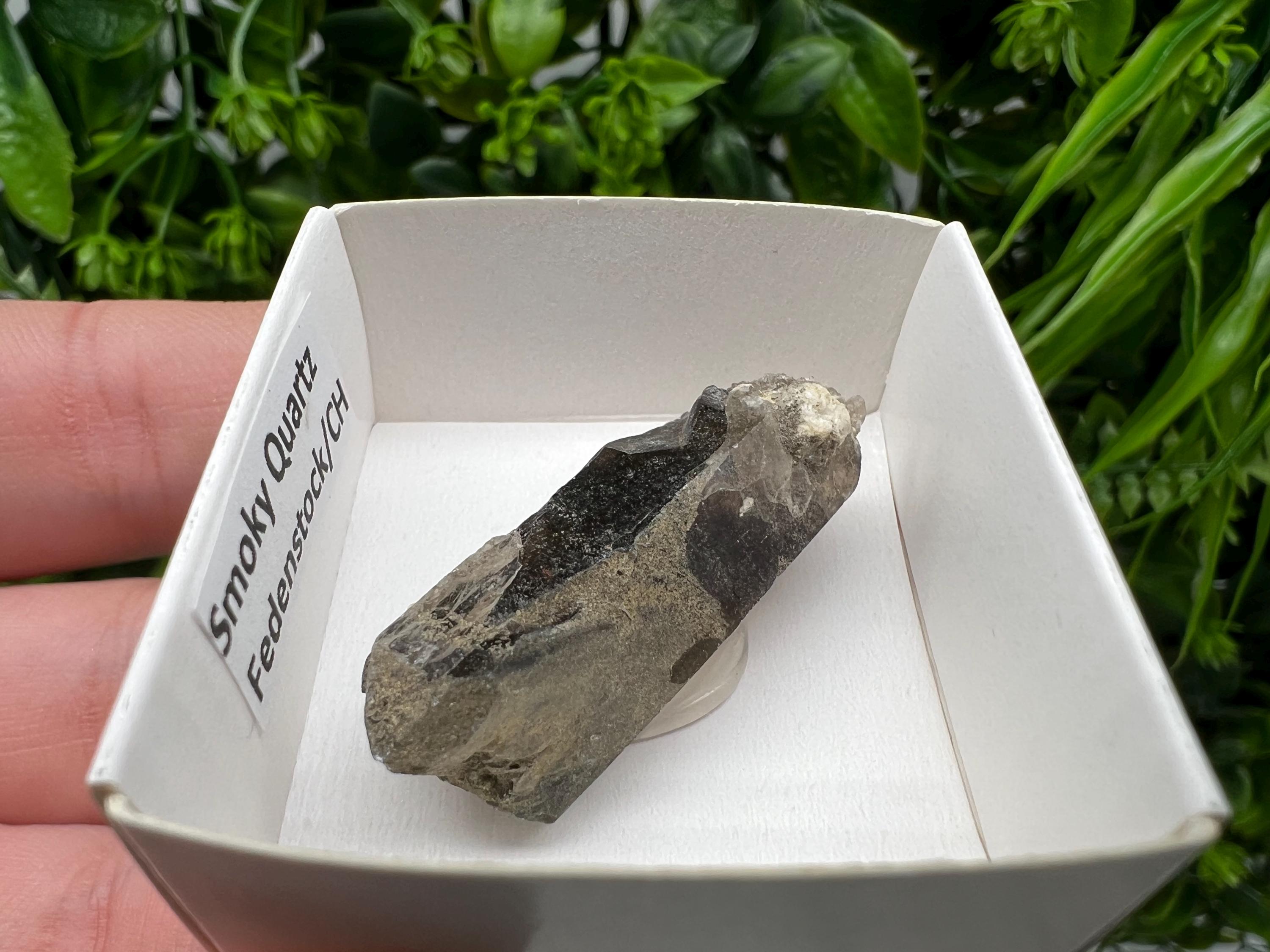 Rare Fedenstock Smoky Quartz Point, Swiss Mineral Specimen (40mm)