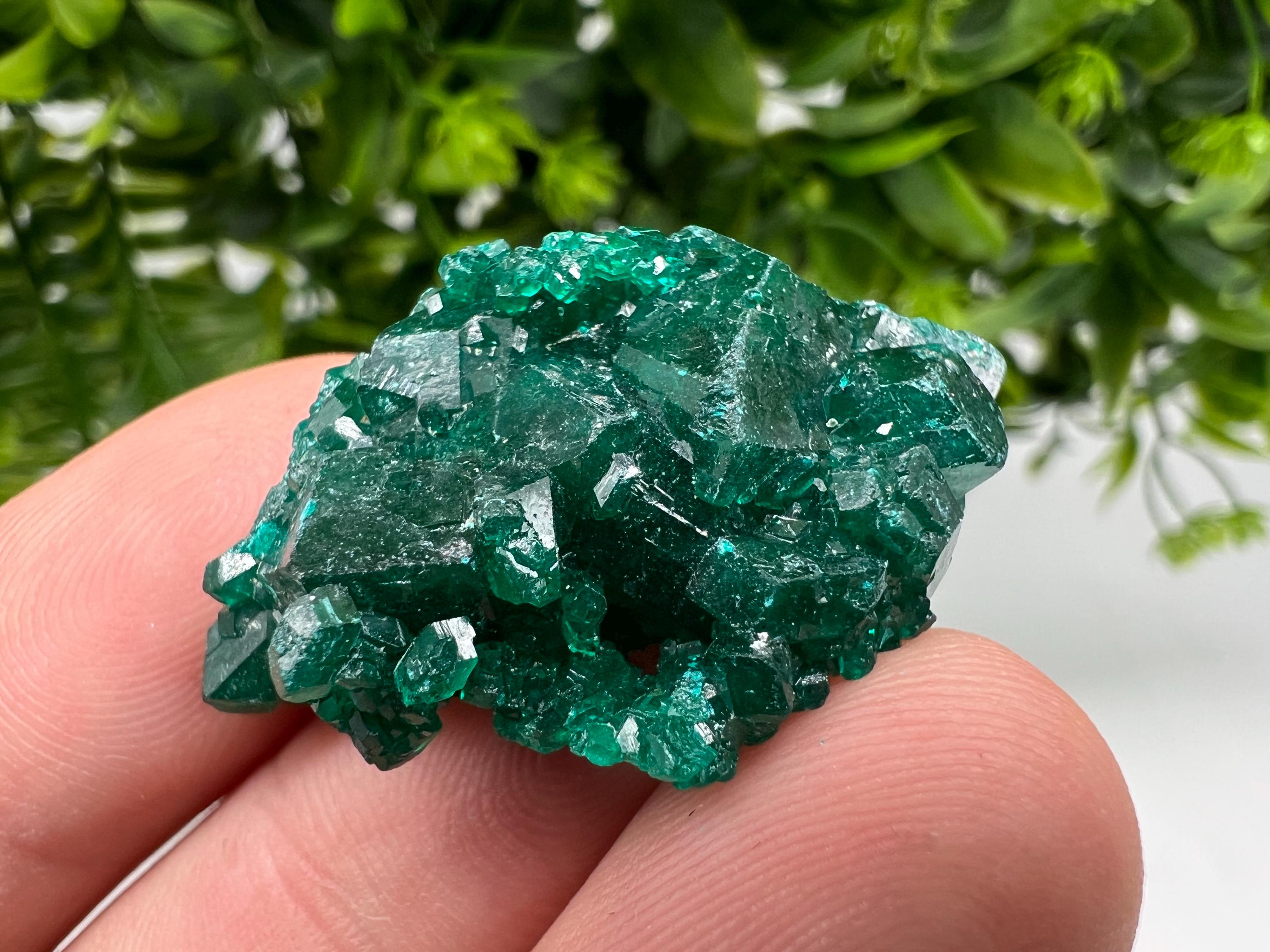 Green Dioptase Crystal, Congo Mineral Specimen, Collecting