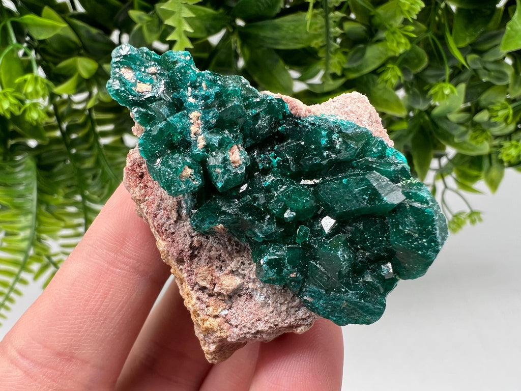 Stunning Green Dioptase from Sanda Hills,Mindouli,Pool Department,Mindouli District,Congo,green Dioptase,Dioptas Crystal,Dioptase collecting