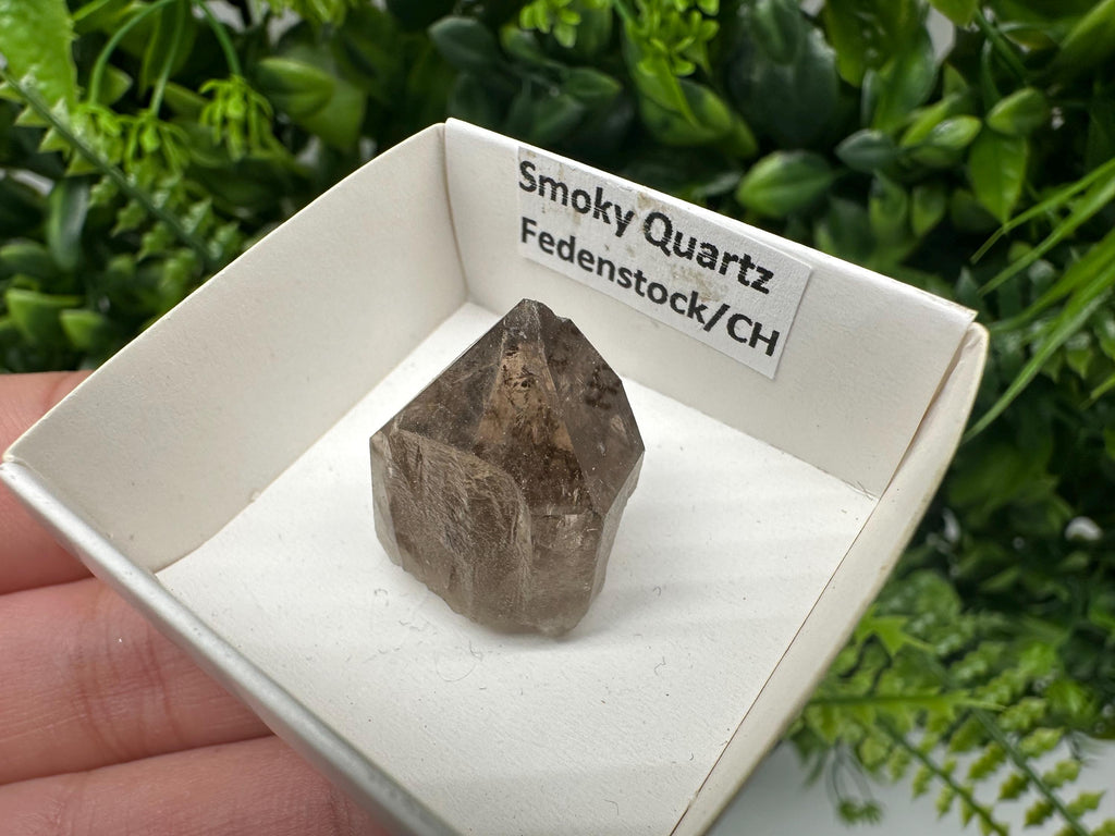 Rare Fedenstock Smoky Quartz, Swiss Mineral Specimen (20/20MM)