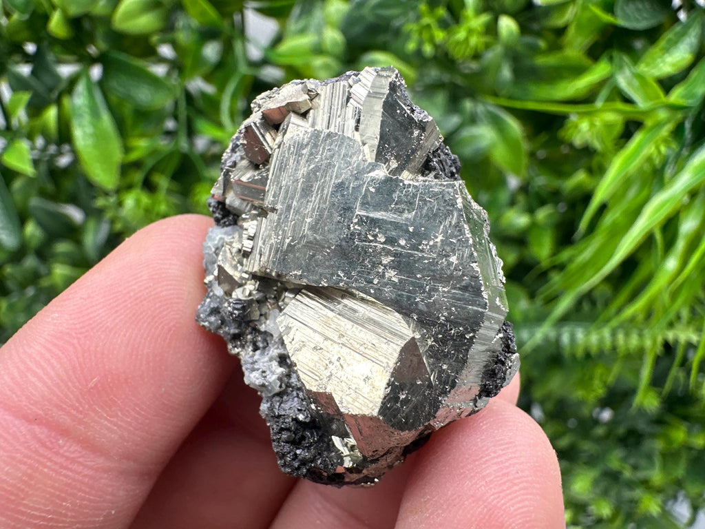 Pyrite on Sphalerite Mineral Specimen, Rare Crystal Decor