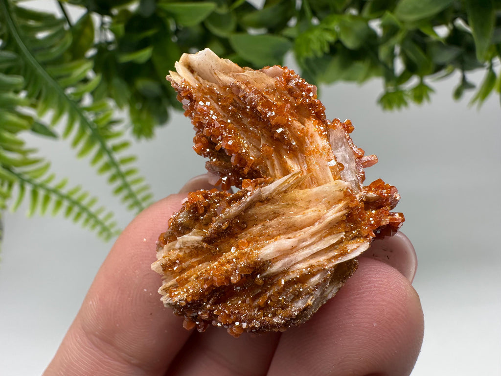 Red Vanadinite on Barite Cluster, Morocco Crystal Specimen