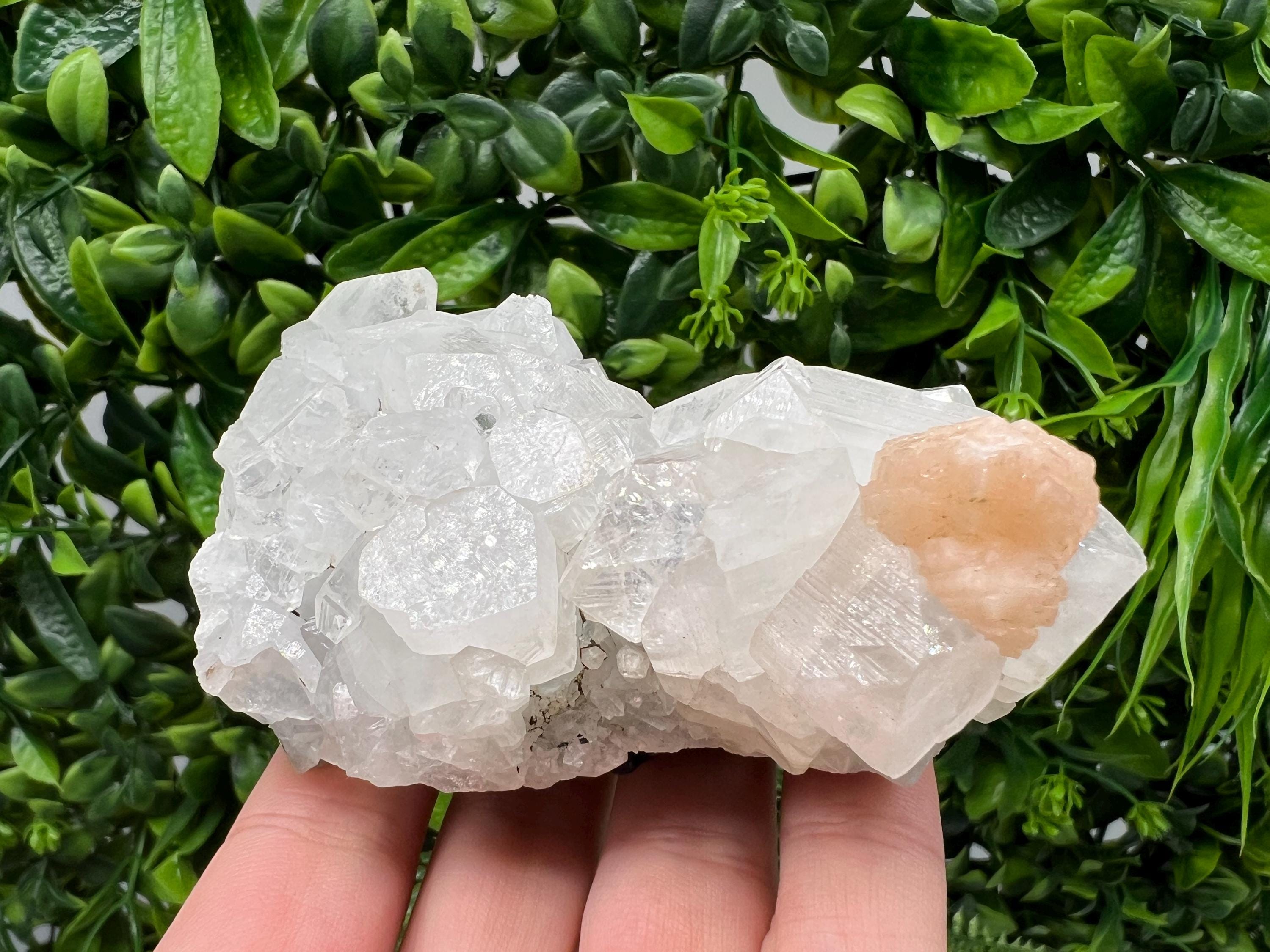 Apophyllite Stilbite on Chalcedony: Natural Mineral Specimen, India