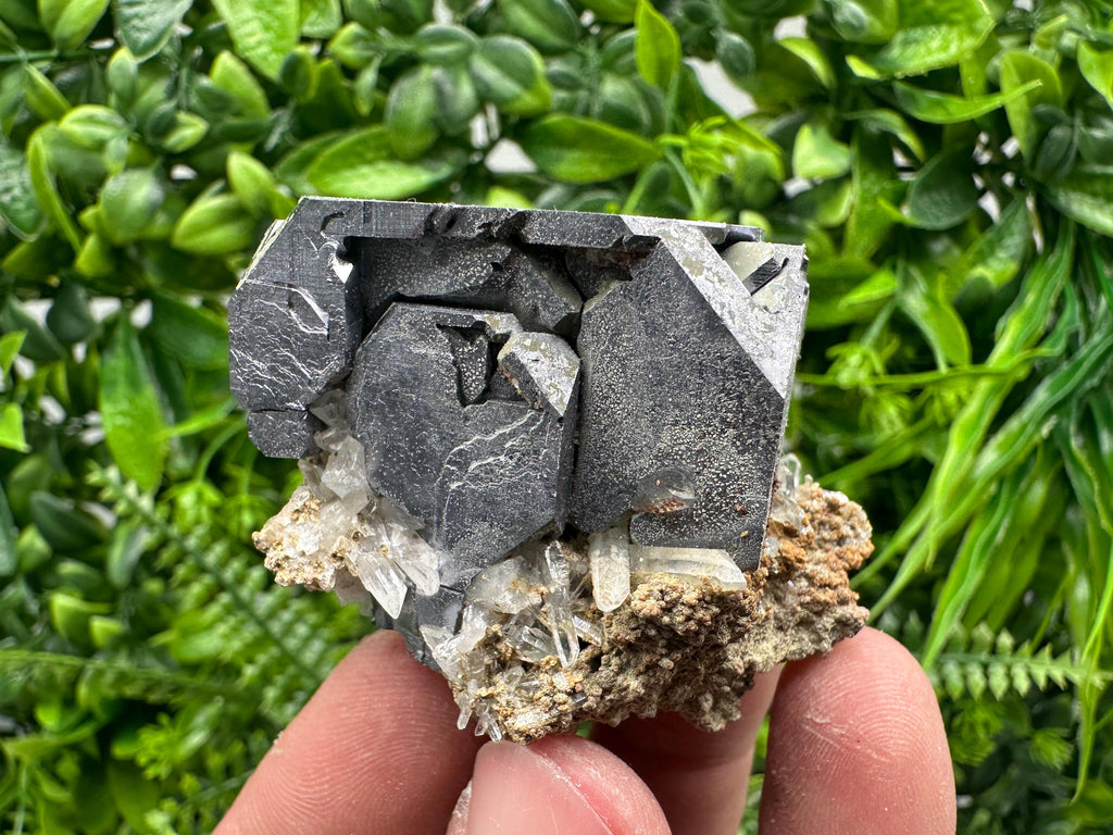 Skeletal Galena on Quartz, Borieva Mine Mineral Specimen