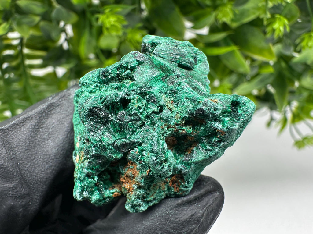 Malachite Crystal from Congo,Minerals,Crystals from Congo,Green Malachite, Malachite,Natural Malachite,Malachite Stone,Chakra, Specimens
