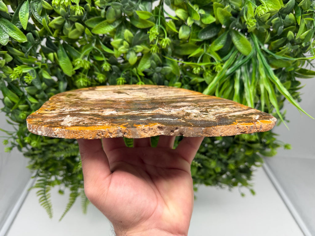 Polished Landscape Jasper Slab – Natural Scenic Stone Slice, Grounding Decor (21x17cm)