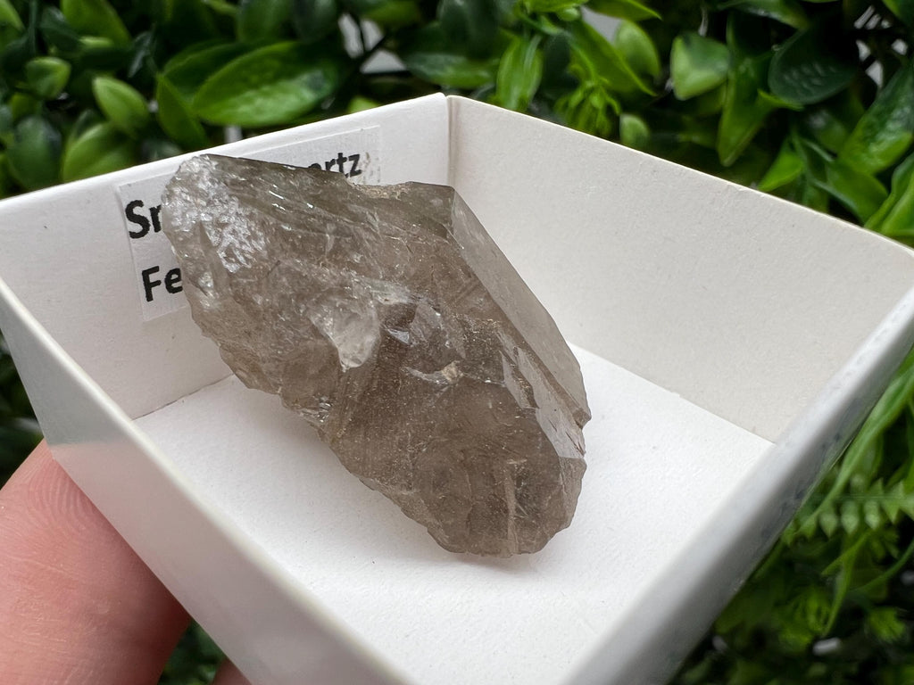 Rare Smoky Quartz from Fedenstock (mountain) Switzerland,Mineral,Specimen,Collection,Black Quartz,Mineral,Home,Smoky Quartz,Quartz point