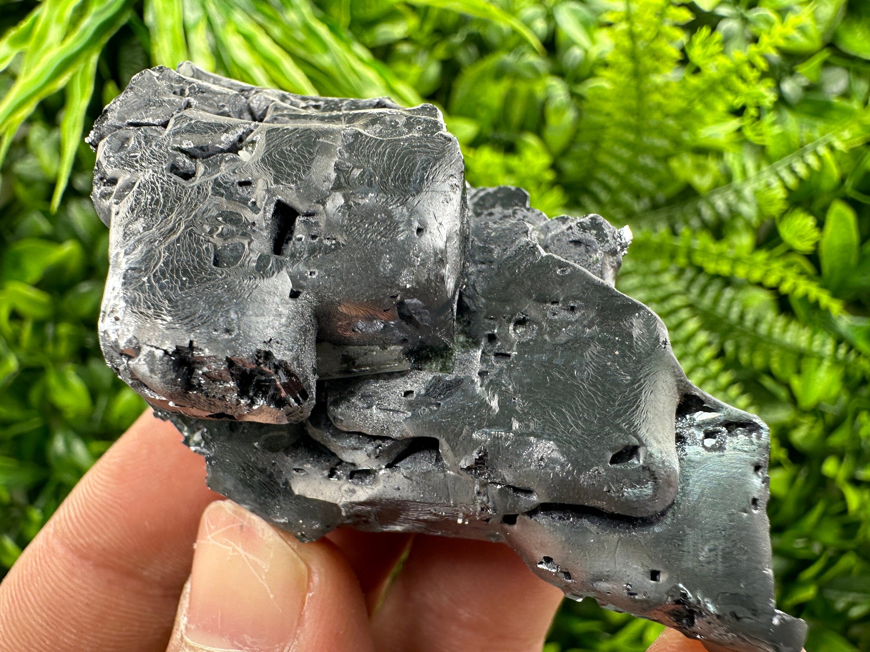 Shiny Galena Cluster: Rare Borieva Mine Crystal, Bulgaria