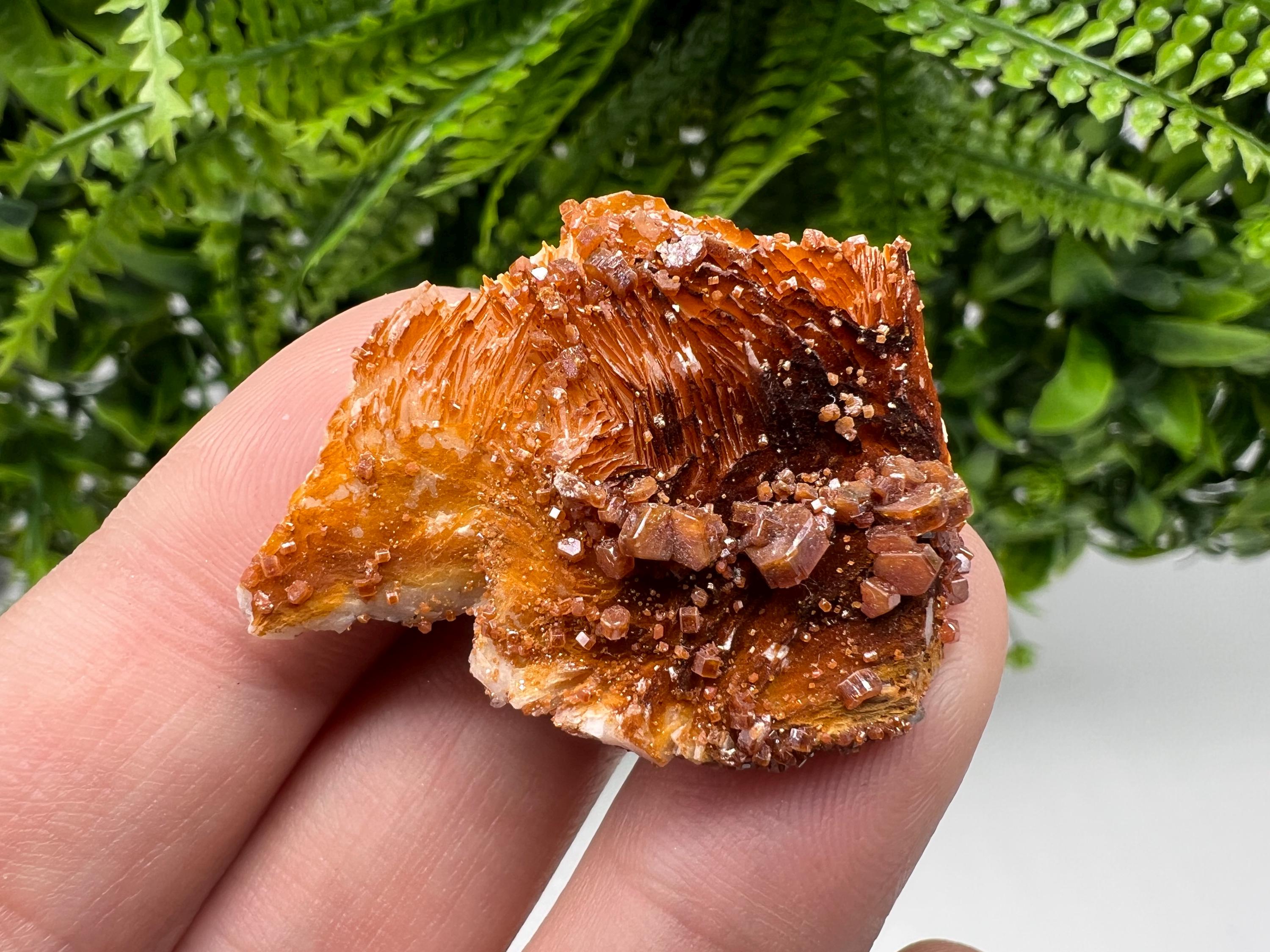 Red Vanadinite on Barite, Morocco Mineral Specimen
