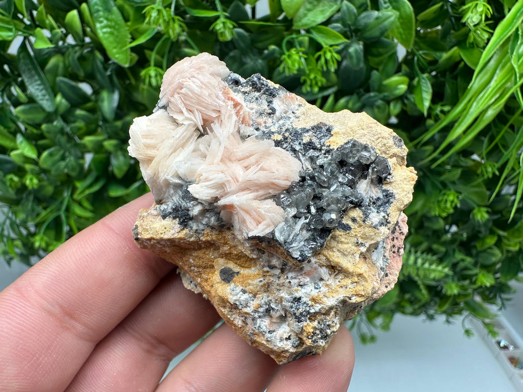 Wonderful Baryte with Cerussite on Galena from Morocco,Crystal, Mineral,Specimen,Cluster,Crystals,Barite Crystal,Cerussite Crystal,Specimen