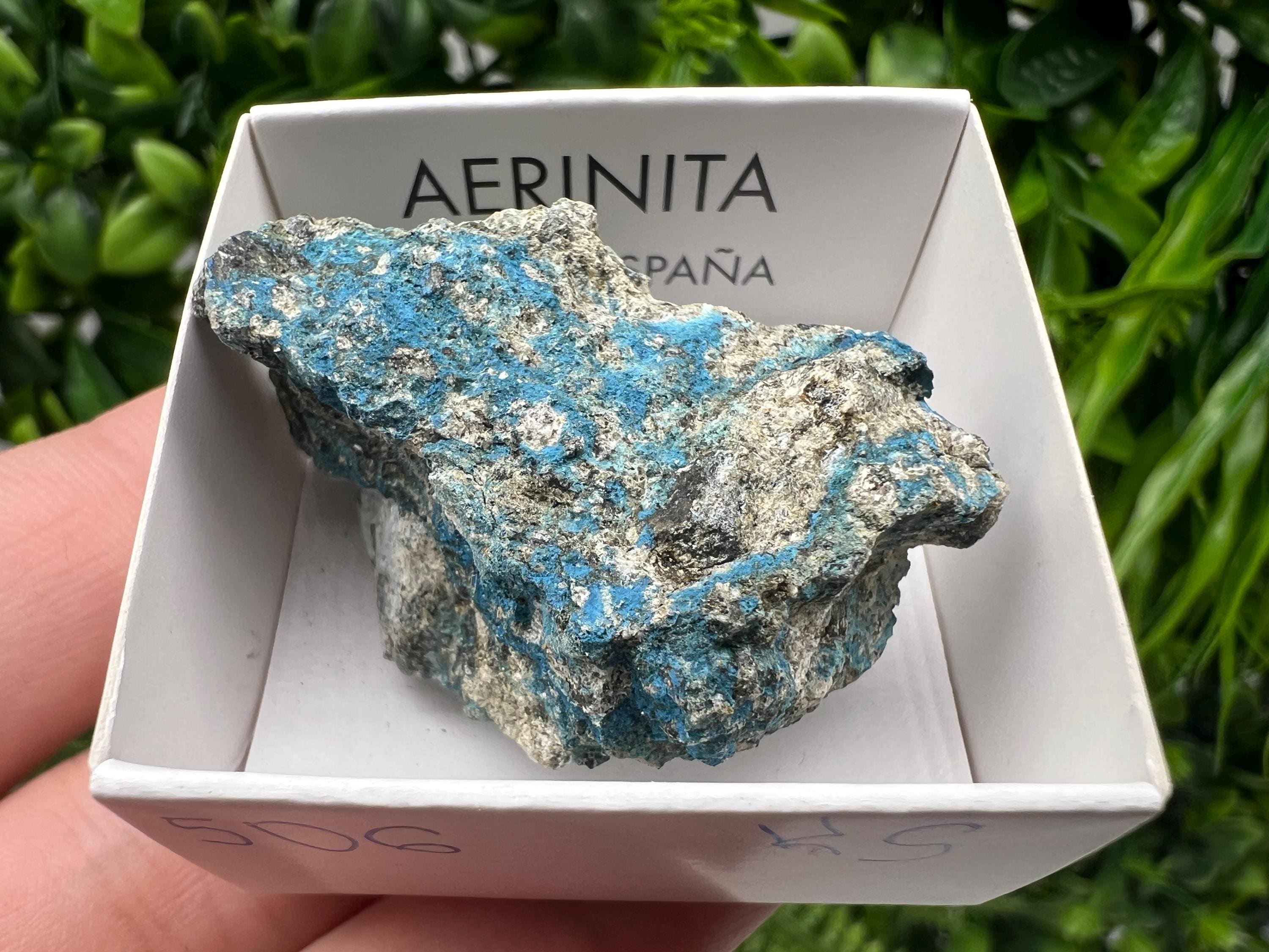 Rare Raw Aerinite Mineral Specimen: Lleida, Spain Crystal