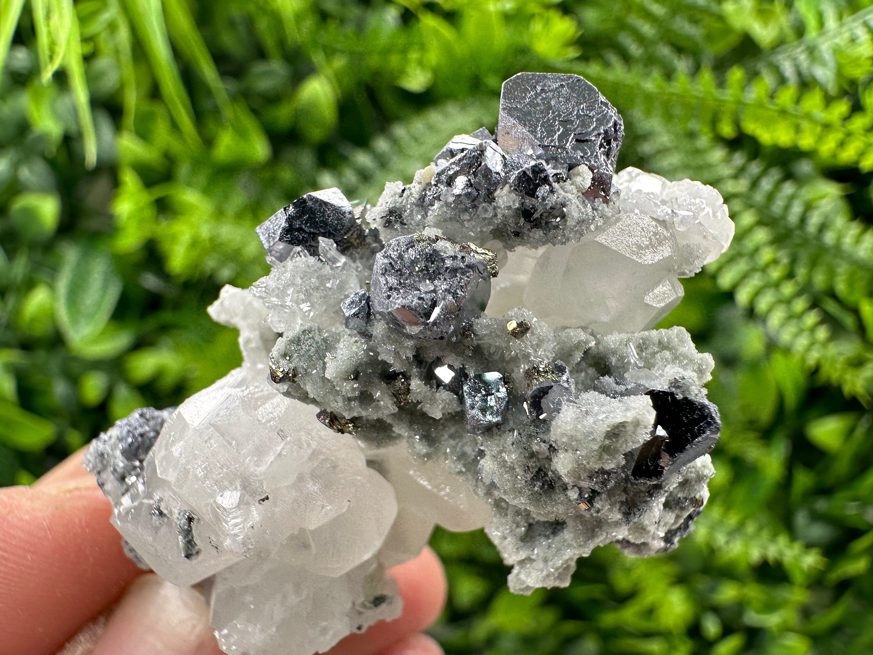 Galena Chalcopyrite on Calcite and Quartz, Borieva Bulgaria