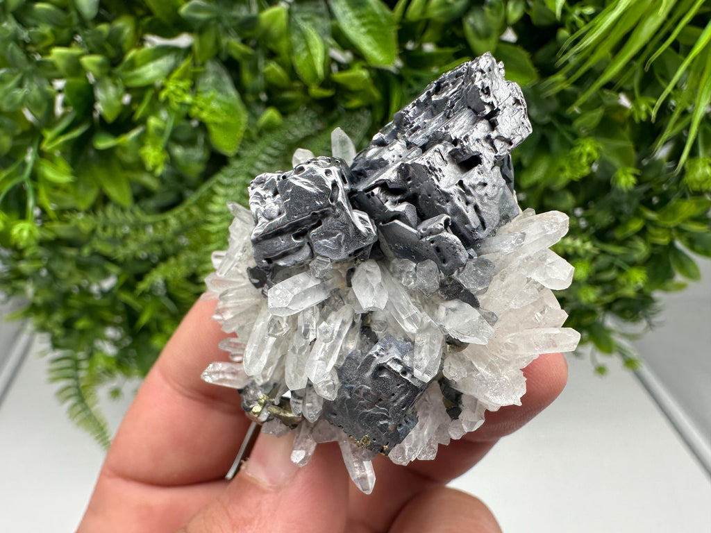 Aesthetic Natural shiny Galena whit Siderite and Quartz from 9 th September mine,Bulgaria,collection specimen,rare galena,Galena cluster