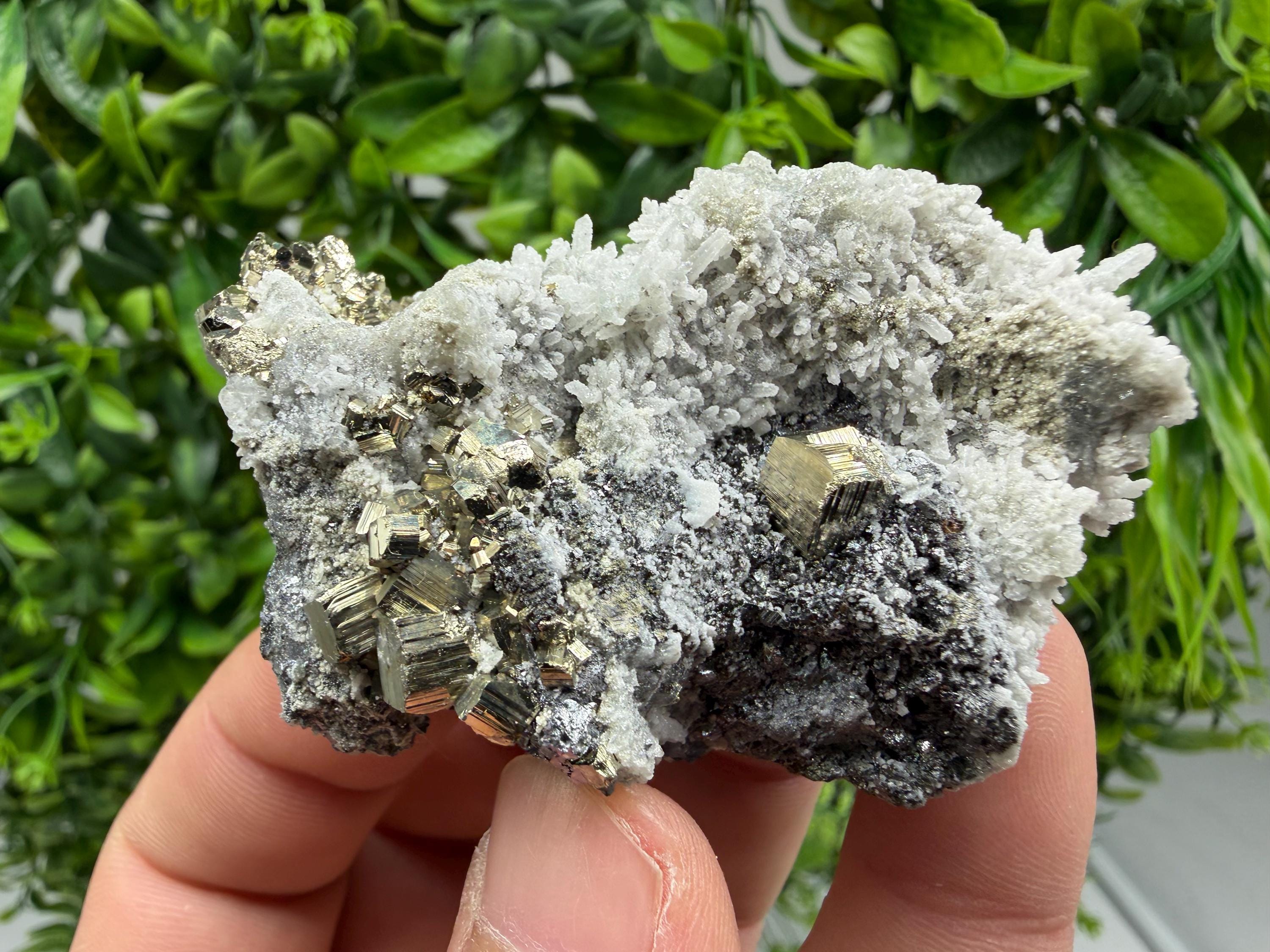 Pyrite Sphalerite Quartz  Mineral Specimen, Krushev dol Mine