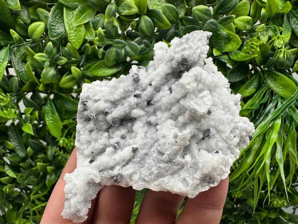 Mirror Galena on Chalcedony, Krushev dol Mine Mineral Specimen