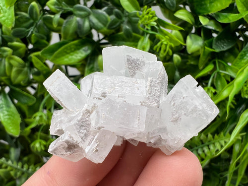 Barite Marcasite Chalcedony Cluster, Androvo Mine Bulgaria