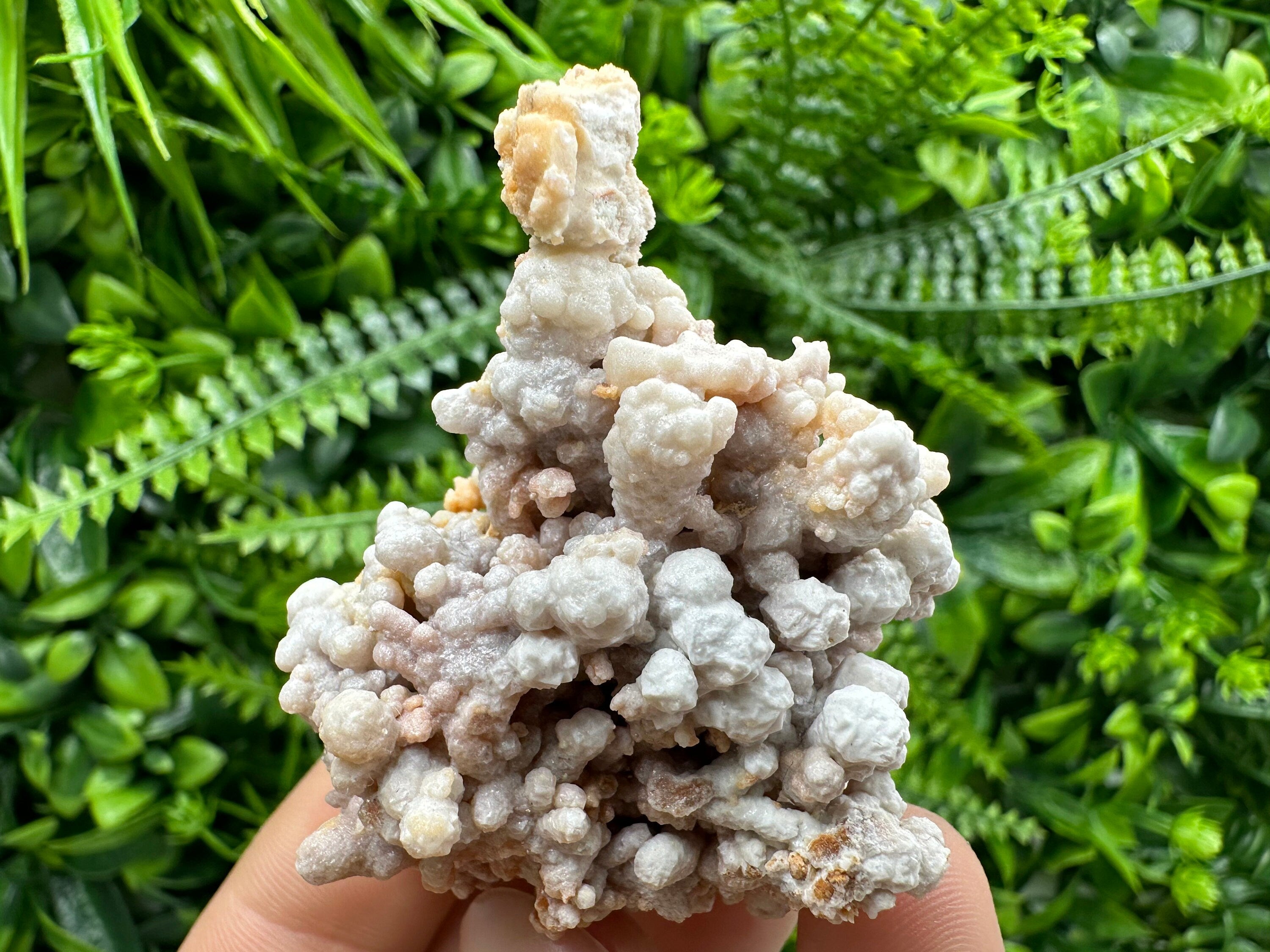 Dimitrovgrad Aragonite Cluster, Bulgaria Mineral Specimen (5/5/5cm)