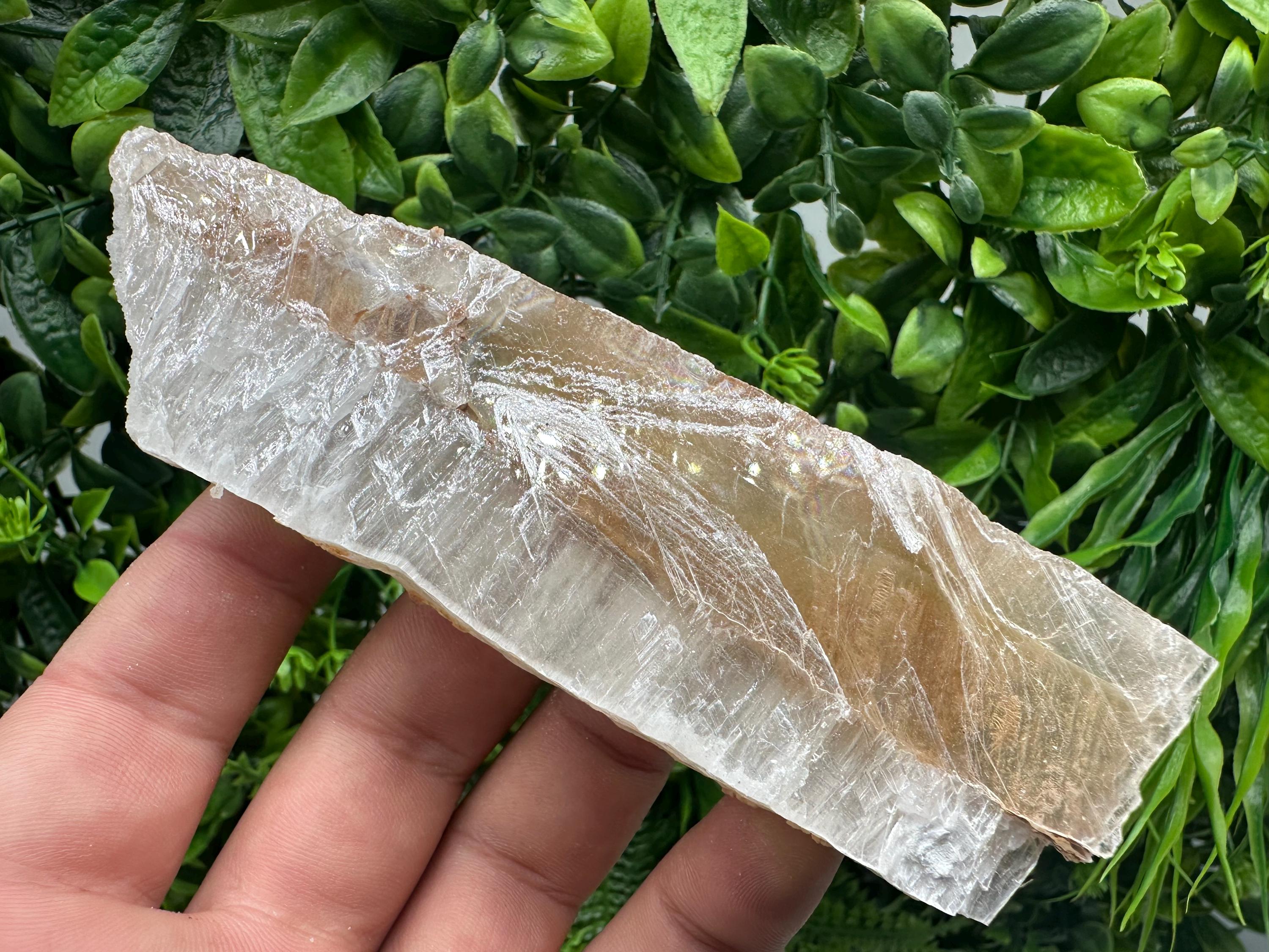 Golden Phantom Selenite Slab: Raw Utah Fishtail Selenite Wand