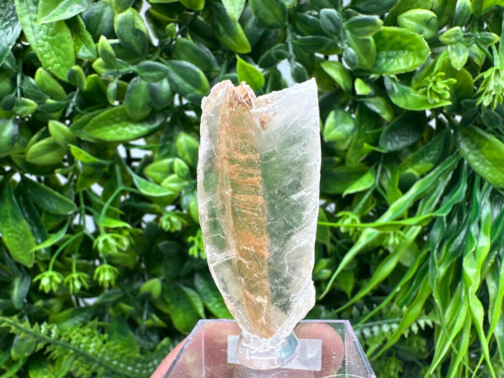 Raw Utah Golden Phantom Selenite Slab: Fishtail Selenite Wand