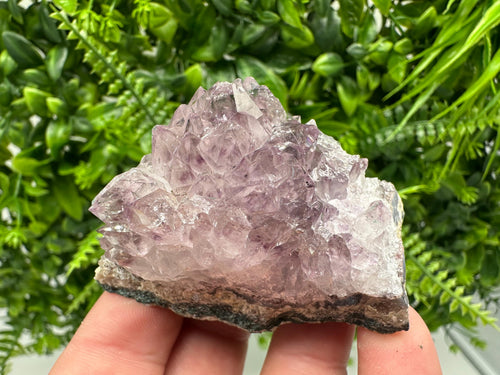 Brazilian Amethyst Crystal Cluster Specimen, Purple Quartz