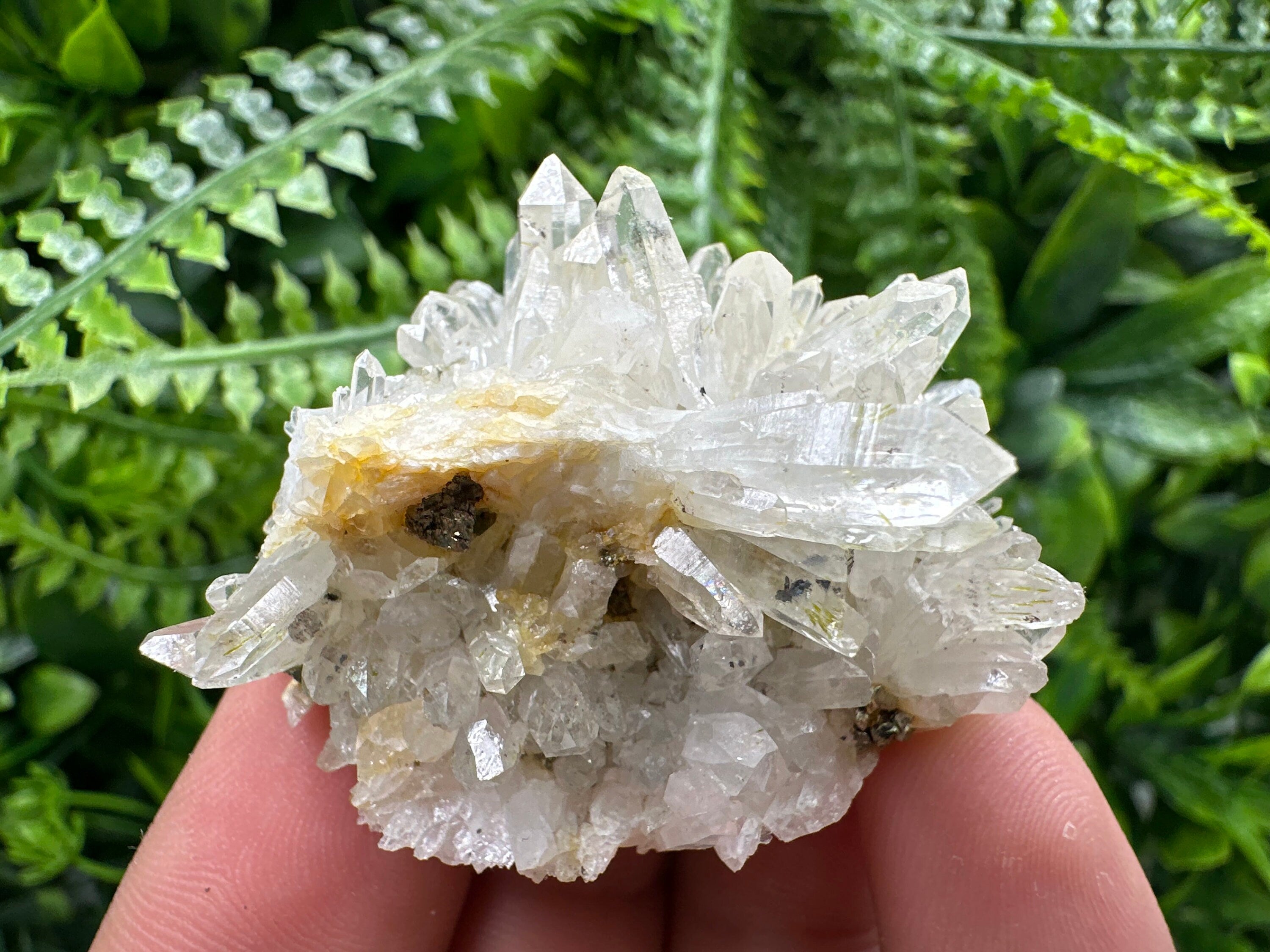 Quartz with Pyrite, Djurcovo Mine Bulgaria, Mineral Souvenir