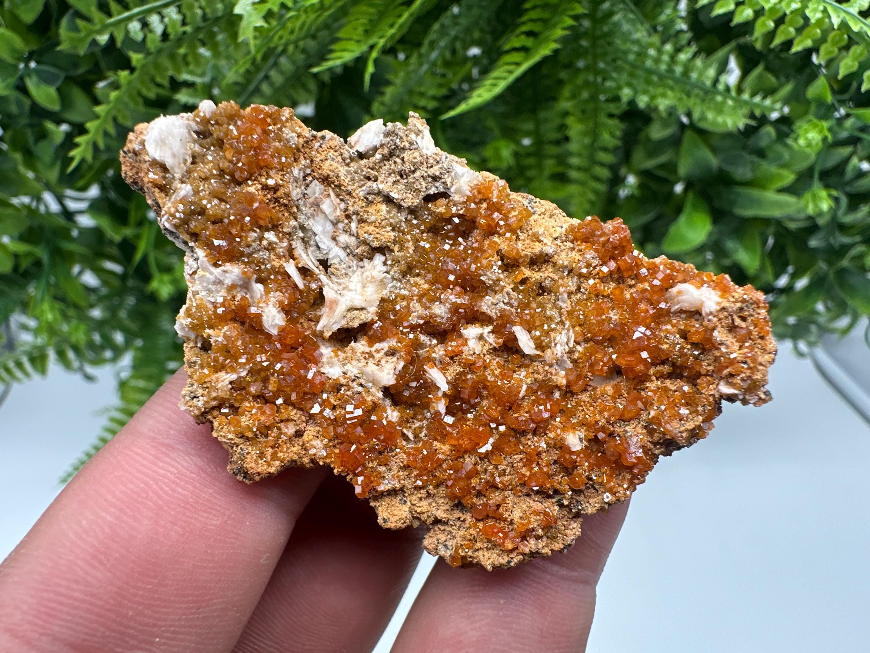 Red Vanadinite on Barite, Morocco Crystal Mineral Specimen