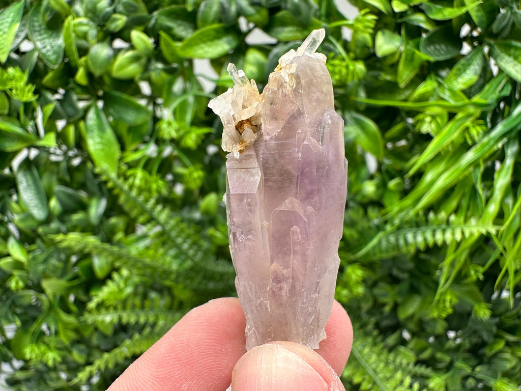 Amethyst Phantom Crystal with Cerusite, Madjarovo Mine, Bulgaria