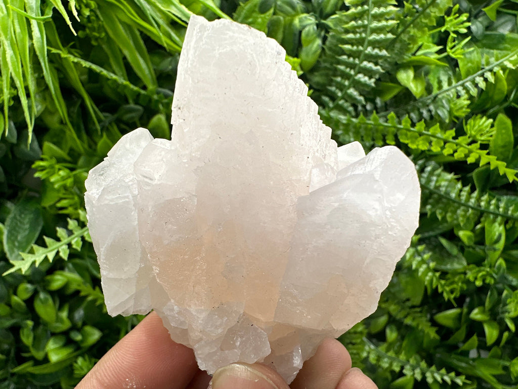 UV Reactive Mangano Calcite Crystal: Androvo Mine, Bulgaria