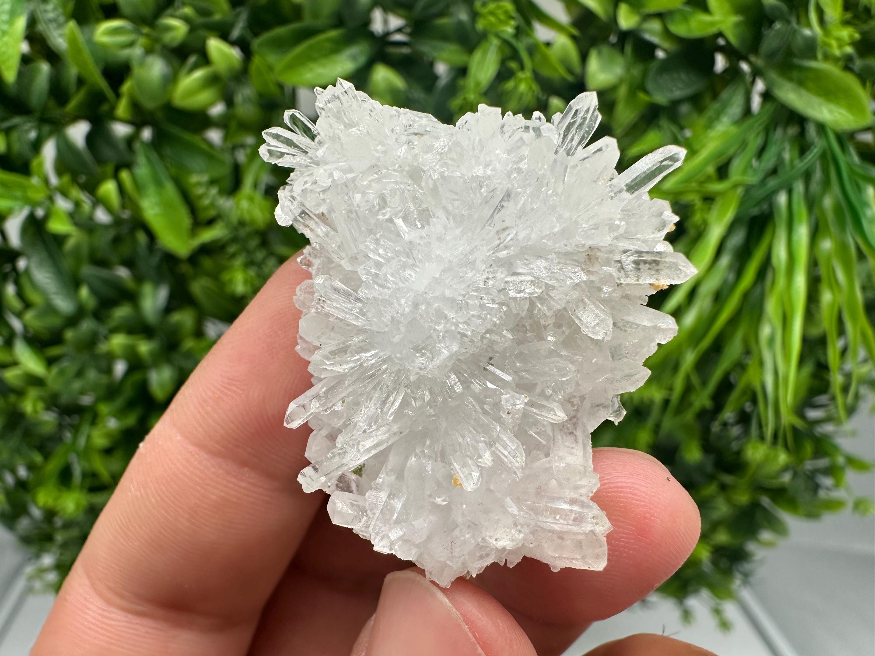 Transparent Quartz on Chlorite Matrix, Borieva Mine, Bulgaria