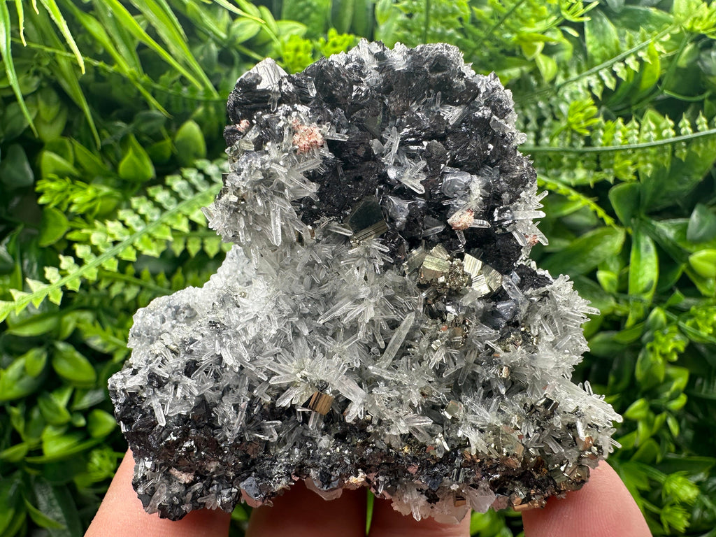 Sphalerite Galena Pyrite on Quartz, Borieva Mine Mineral Specimen