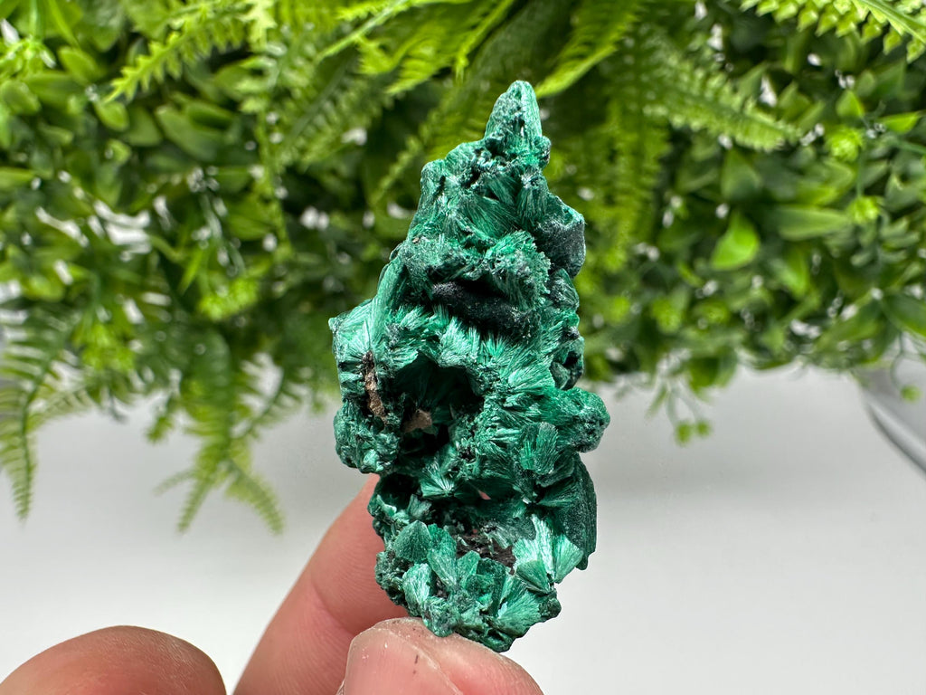 Malachite Crystal from Congo,Minerals,Crystals from Congo,Green Malachite, Malachite,Natural Malachite,Malachite Stone,Chakra, Specimens