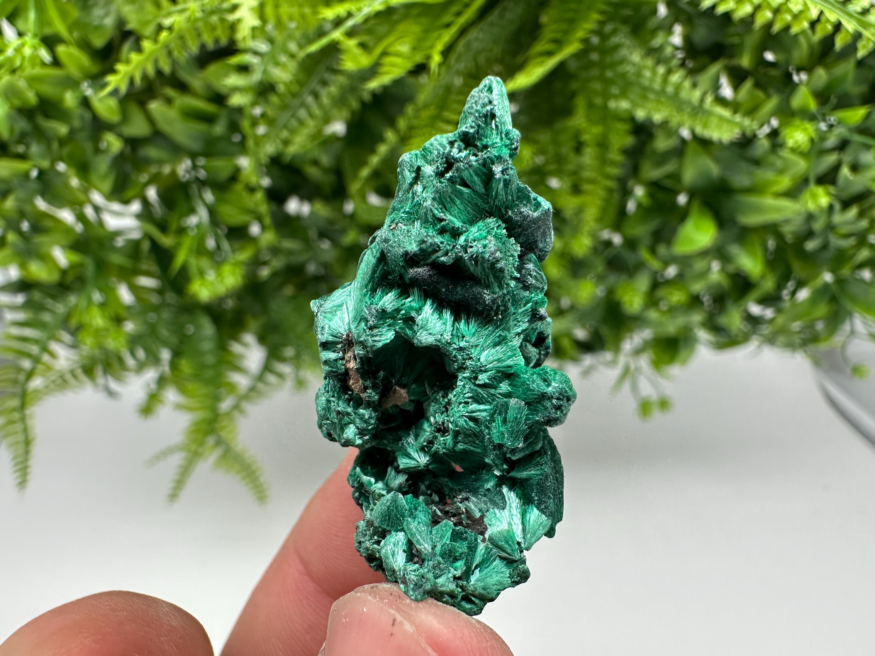 Malachite Crystal from Congo,Minerals,Crystals from Congo,Green Malachite, Malachite,Natural Malachite,Malachite Stone,Chakra, Specimens
