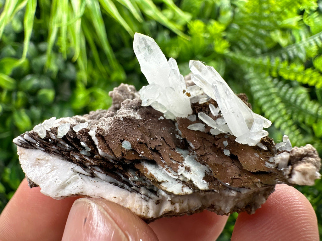 Quartz with Chlorite, Rhodochrosite, Siderite Crystal Home Decor
