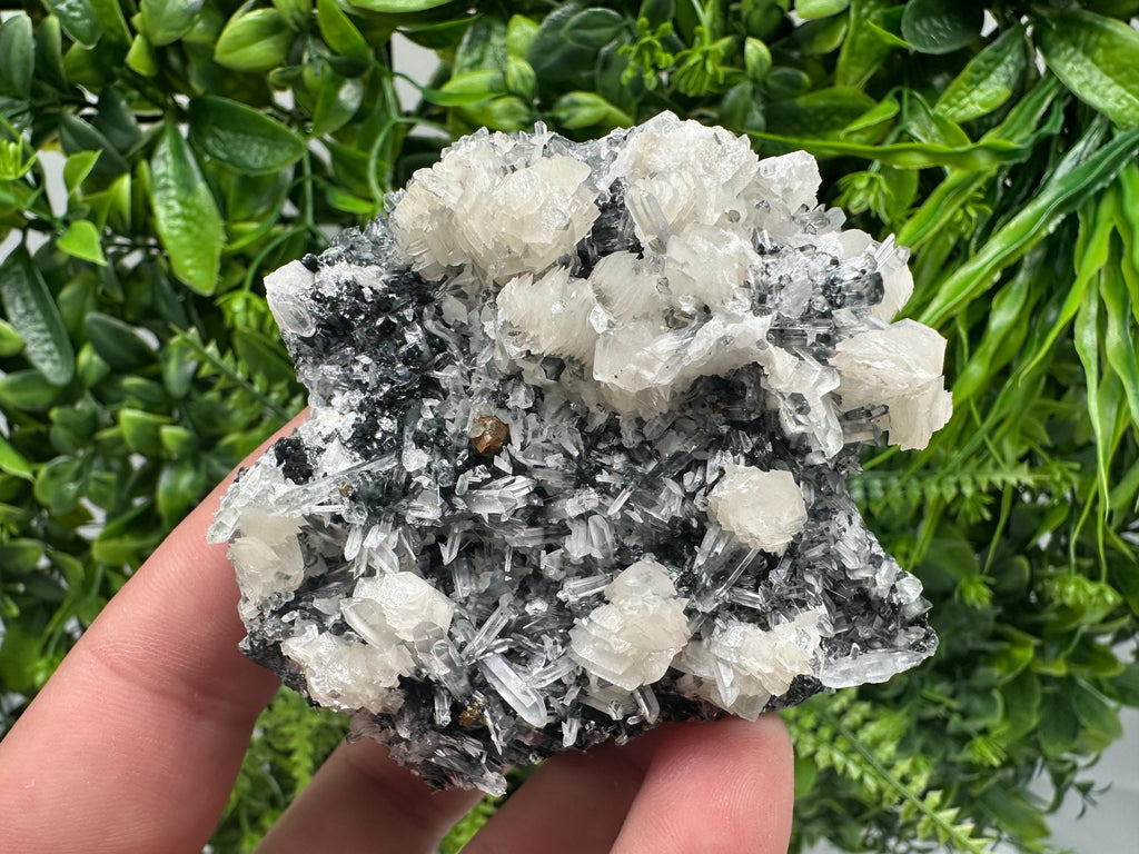 UV Fluorescence Calcite on Sphalerite Quartz, Borieva Bulgaria Mineral Specimen
