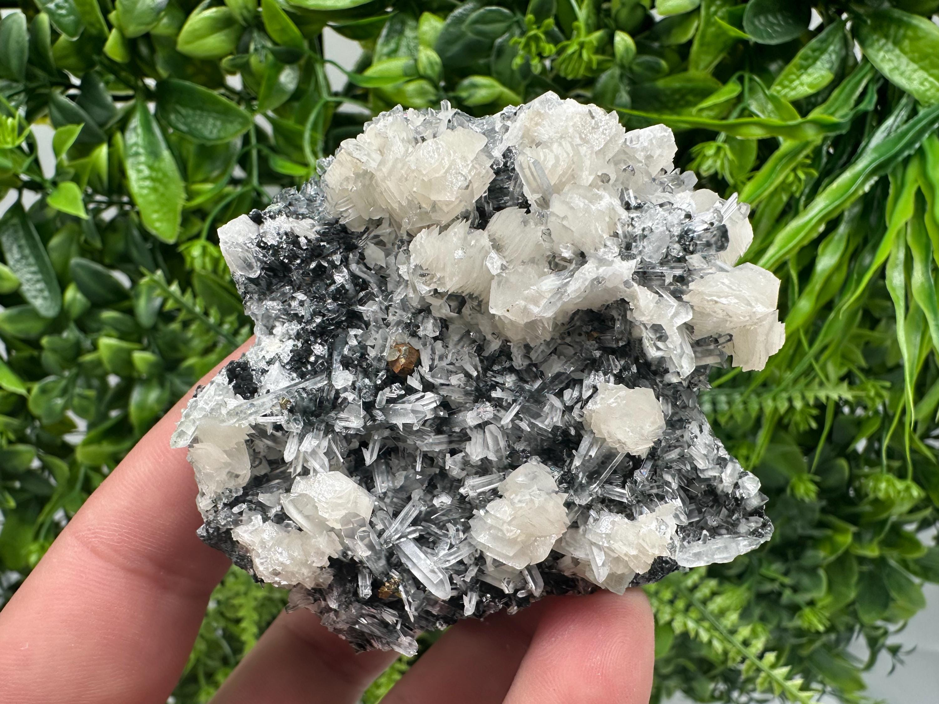 UV Fluorescence Calcite on Sphalerite Quartz, Borieva Bulgaria Mineral Specimen