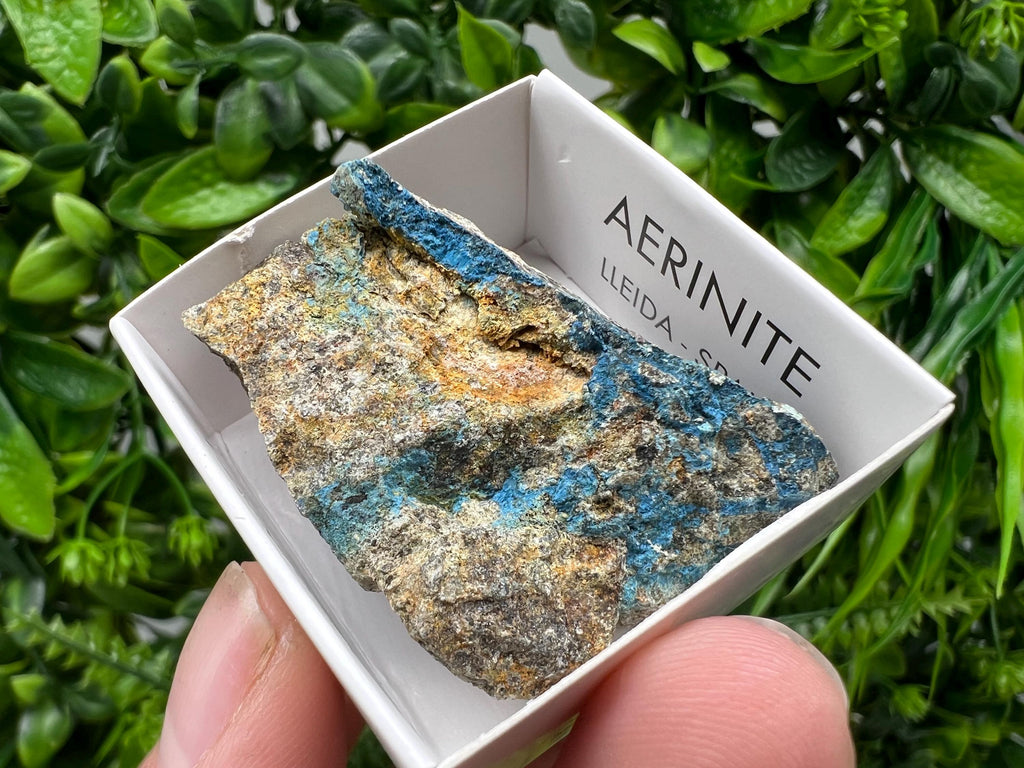 Rare Raw Aerinite Mineral Specimen: Lleida, Spain Crystal (4/3.5 CM)