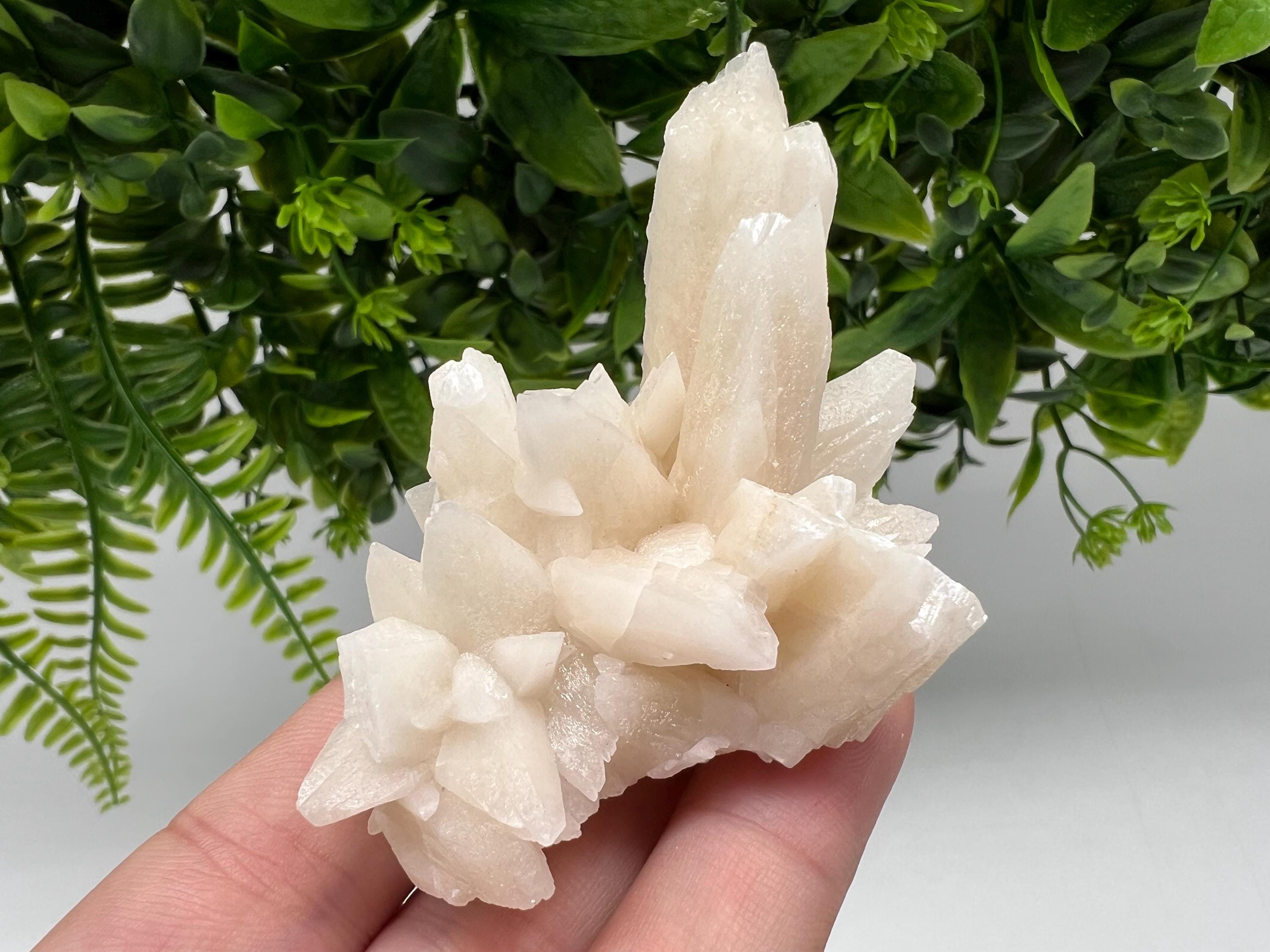 Calcite on Green Quartz: Djurcovo Mine, Bulgaria Healing Crystal