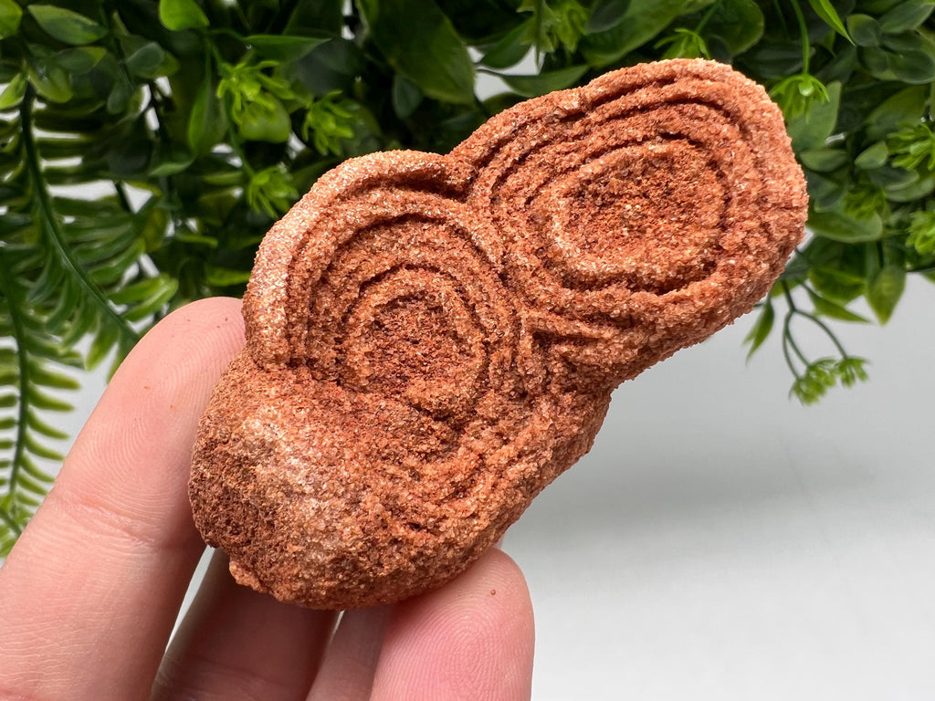 Moroccan Stromatolite Fossil Specimen, Raw Algae Fossil