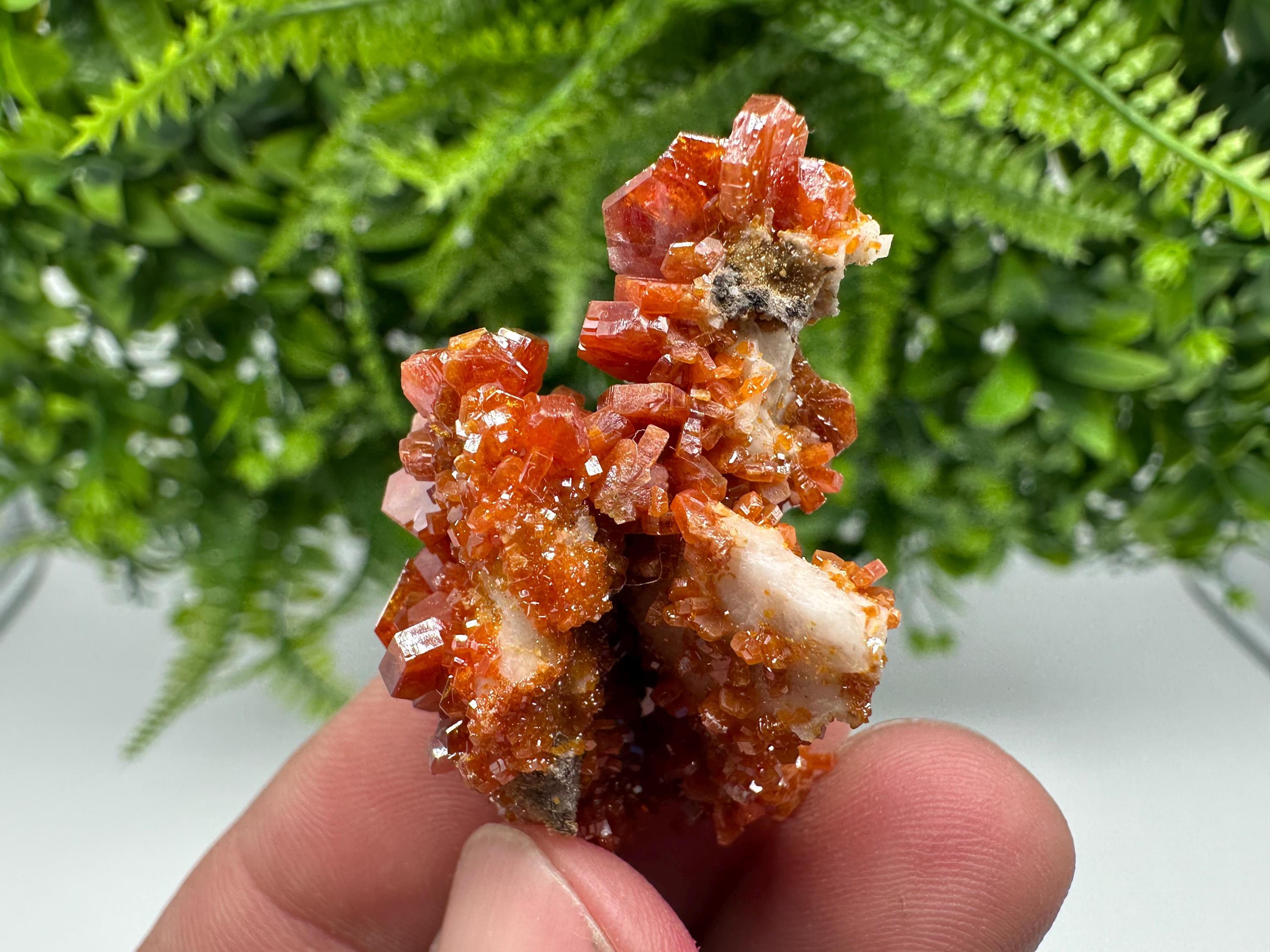 Red Vanadinite on Barite from Marocco,crystal minerals Speciment cluster Vanadinite crystal Vanadinite Geology Vanadinite cluster minerals