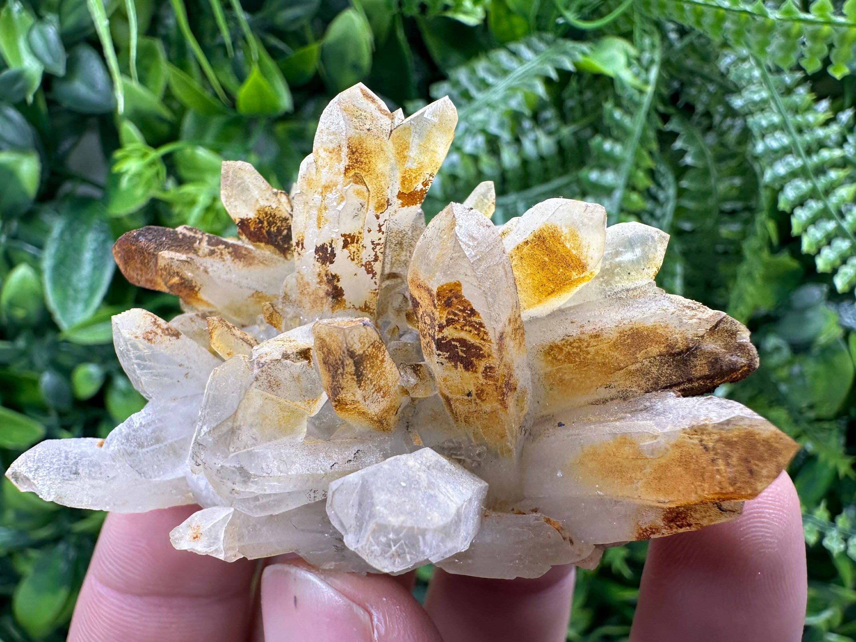 Limonite Coated Quartz Crystal - Natural Mineral Specimen