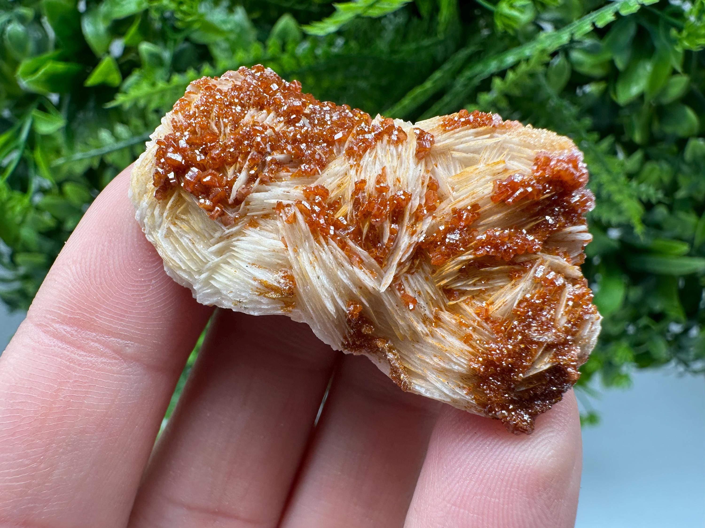 Red Vanadinite on Barite, Morocco Crystal Specimen