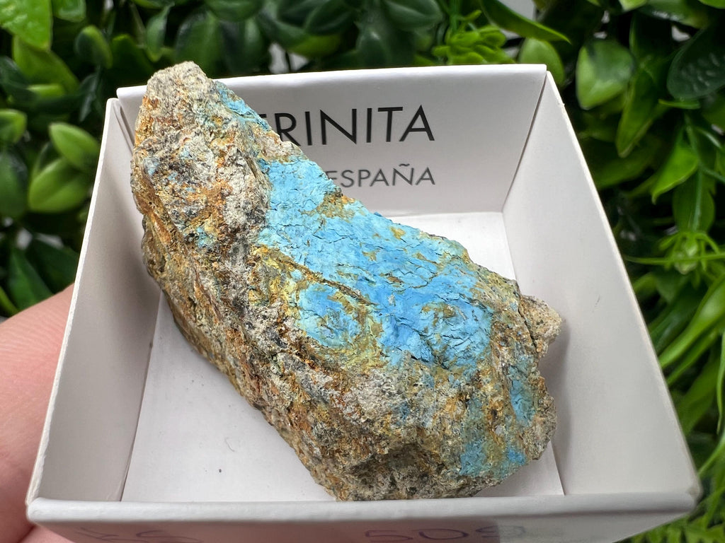 Rare Raw Aerinite Mineral Specimen: Lleida, Spain Crystal Collection