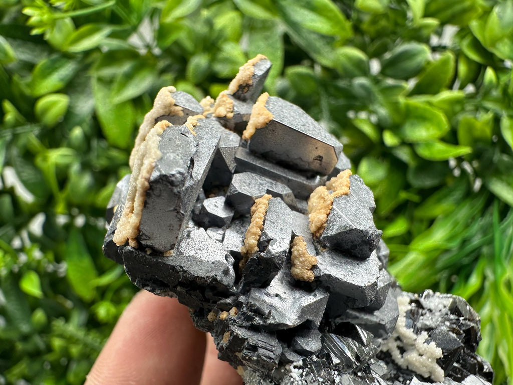 Skeletal Galena with Sphalerite and Calcite - Madan, Bulgaria
