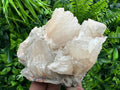 Stilbite on Matrix, Natural Crystal Mineral Specimen, India