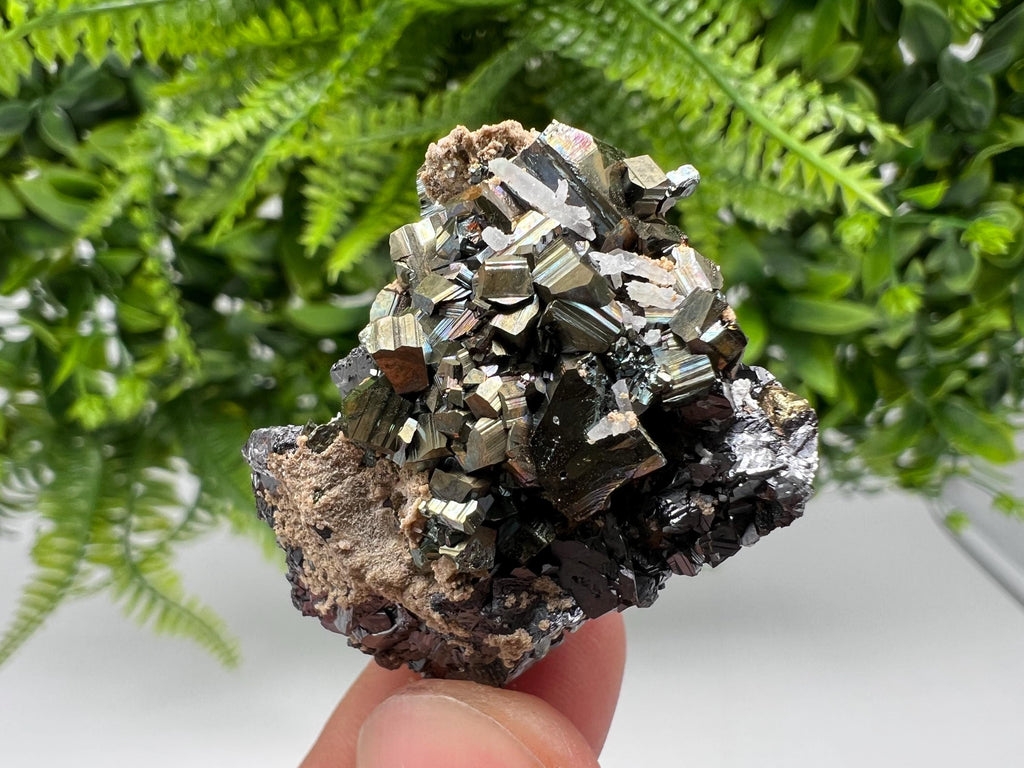 Rainbow Pyrite Siderite Mineral Specimen: Madan Bulgaria Collectible
