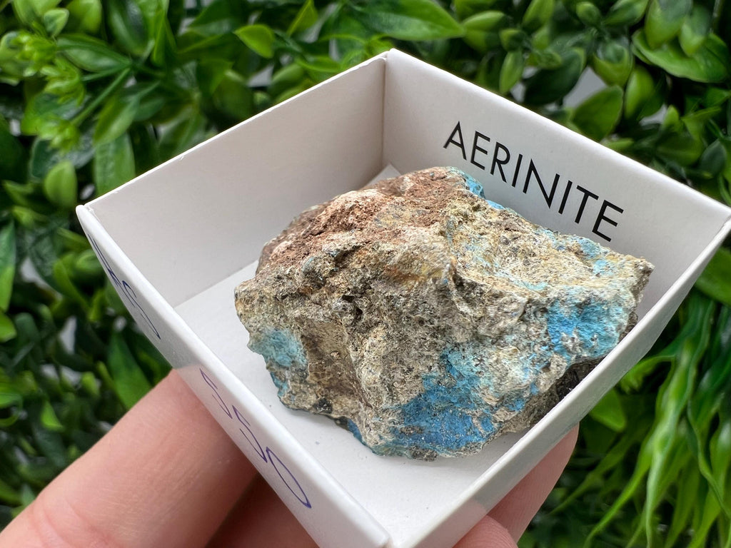 Rare Raw Aerinite Mineral Specimen: Lleida, Spain (3.5/3 CM