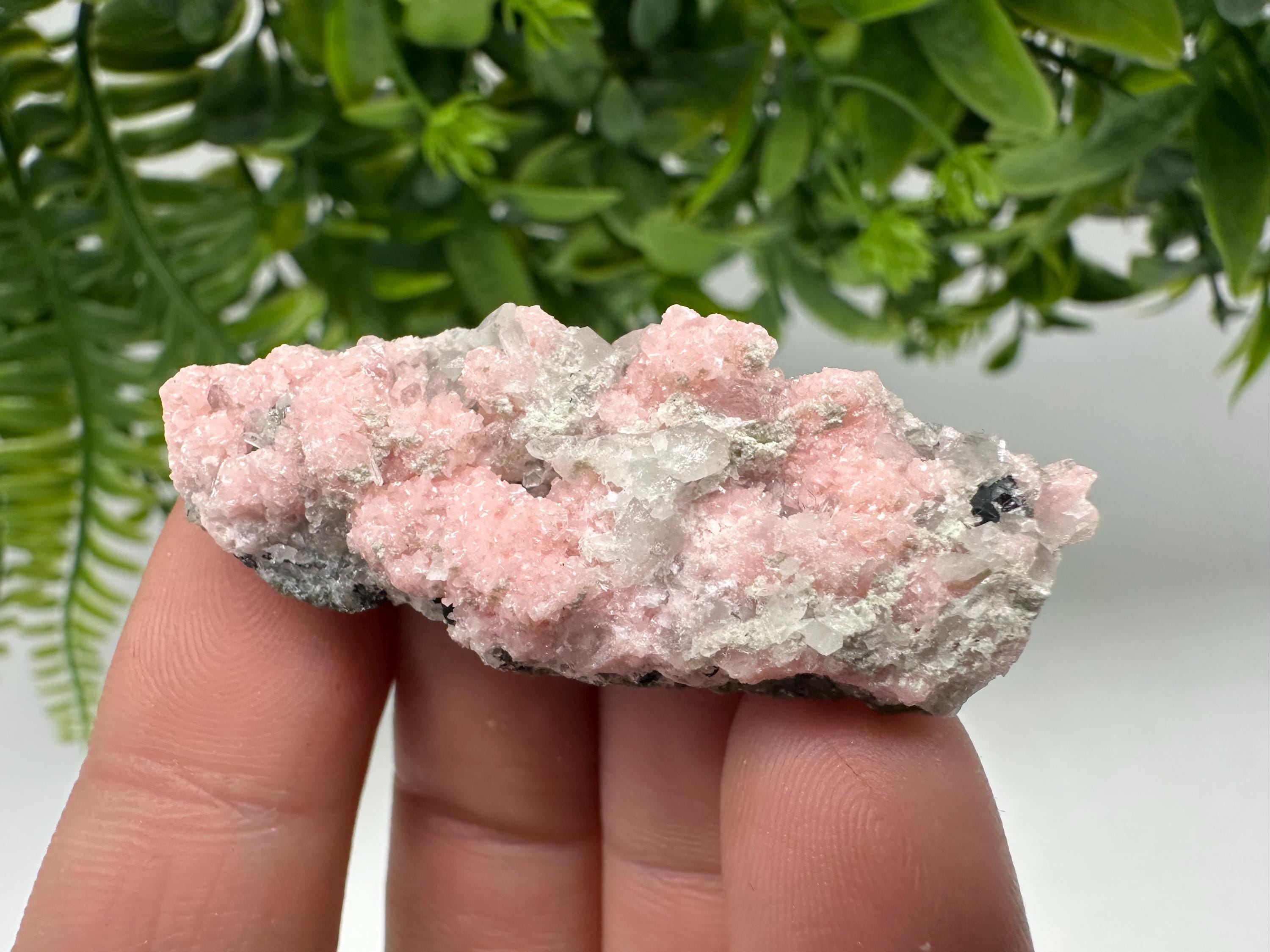 Pink Rhodochrosite Crystal: Starnica Mine, Bulgaria, Home Decor